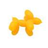 Balloon Dog Stretchy Toy Cute Squishy Sensory Fidget Toy